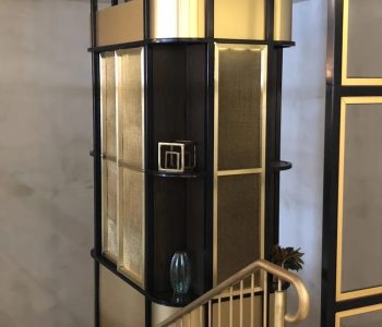 Brass-and-Black-Steel-Display-Ca